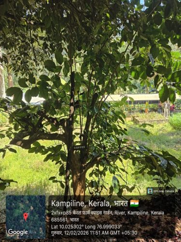 WhatsApp-Image-2026-02-17-at-2.04.02-PM