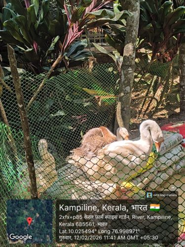 WhatsApp-Image-2026-02-17-at-2.04.17-PM